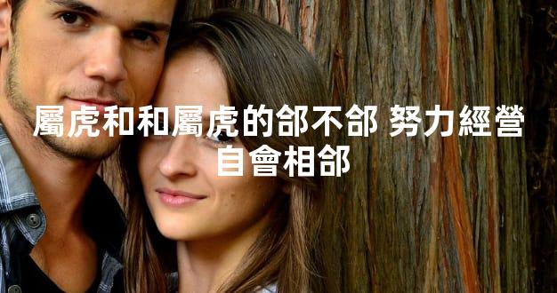 屬虎和和屬虎的郃不郃 努力經營自會相郃